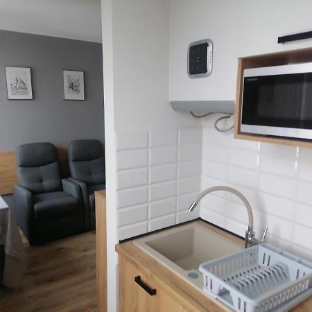 Studio Park Saski 1 & 2 Sandomierz Εξωτερικό φωτογραφία