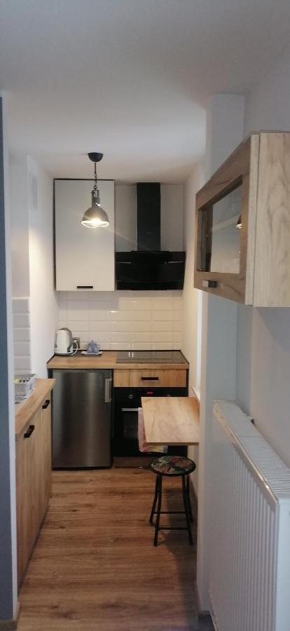 Studio Park Saski 1 & 2 Sandomierz Εξωτερικό φωτογραφία