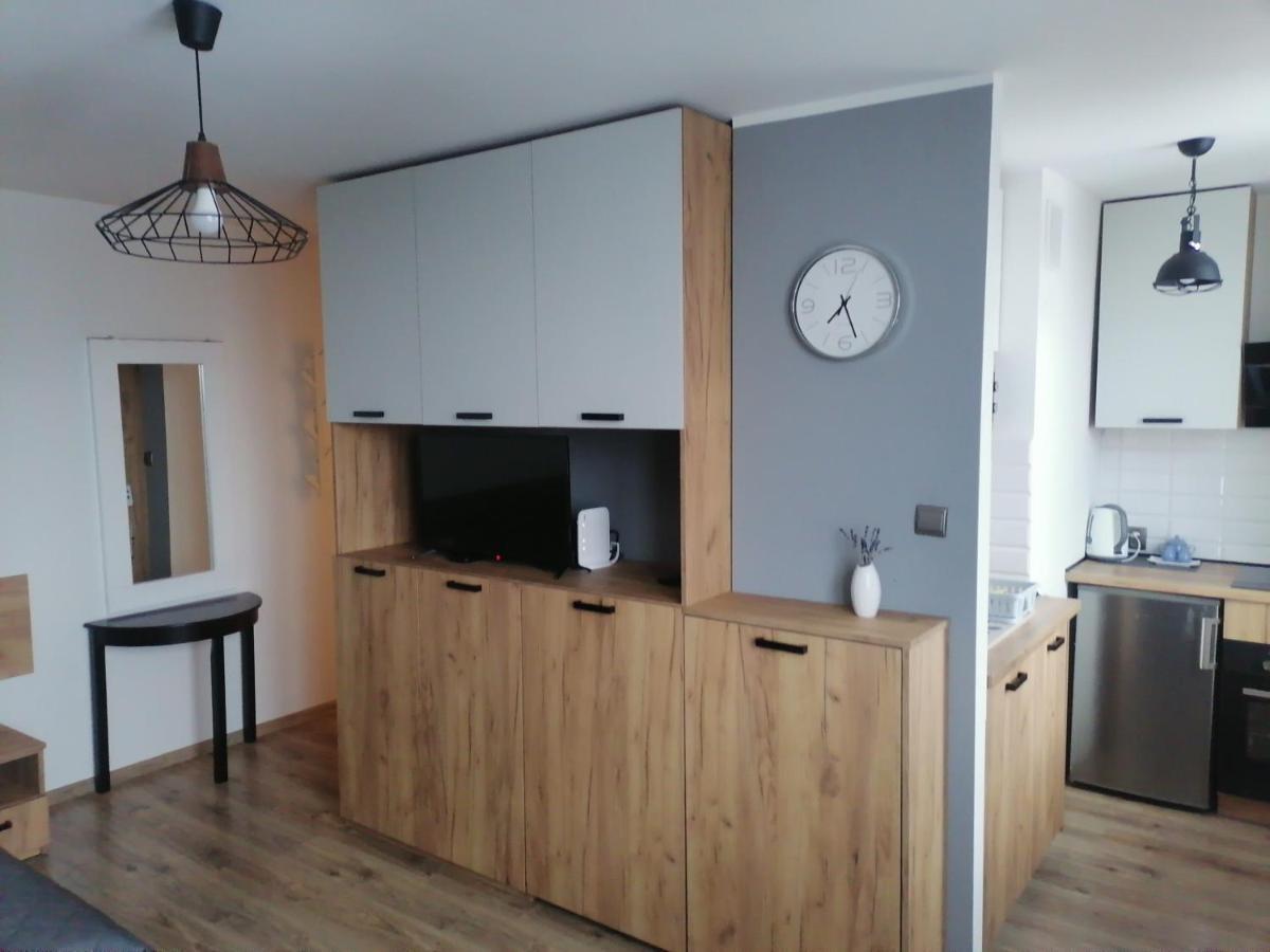 Studio Park Saski 1 & 2 Sandomierz Εξωτερικό φωτογραφία